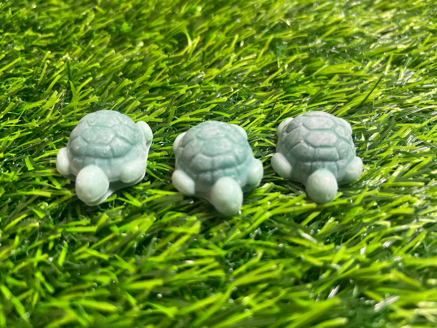 Turtle wax melts