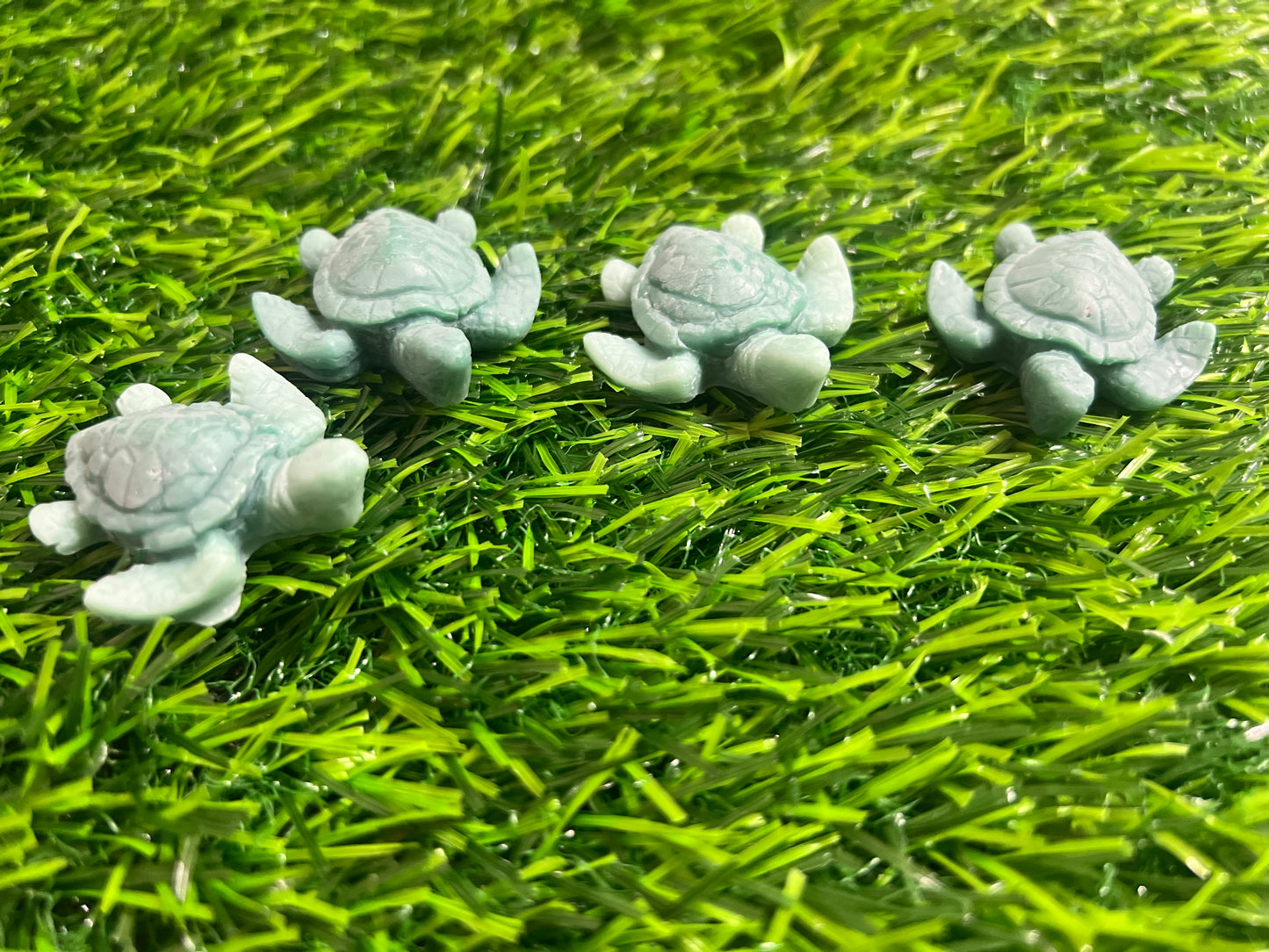 Turtle wax melts