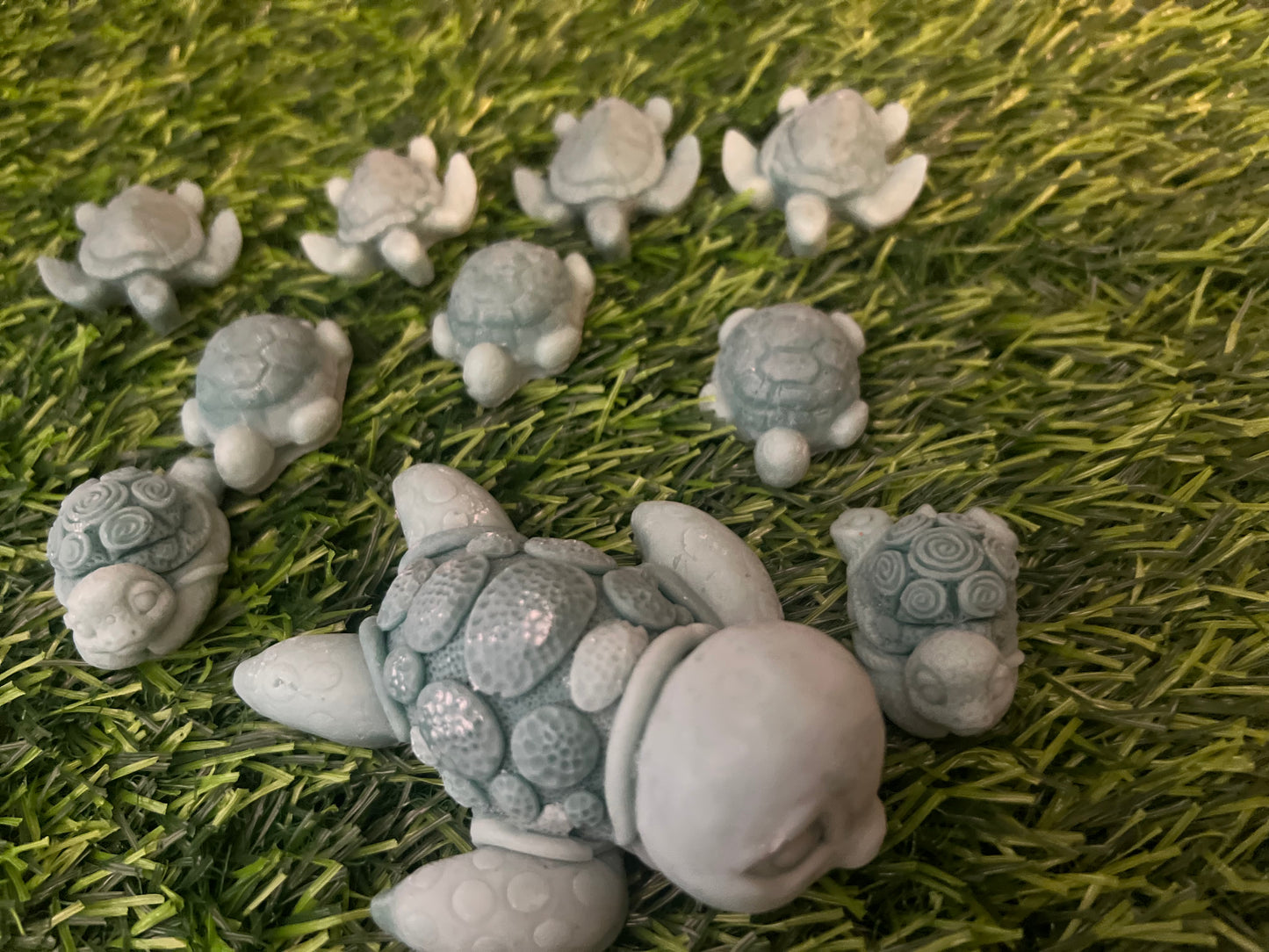 Turtle wax melts