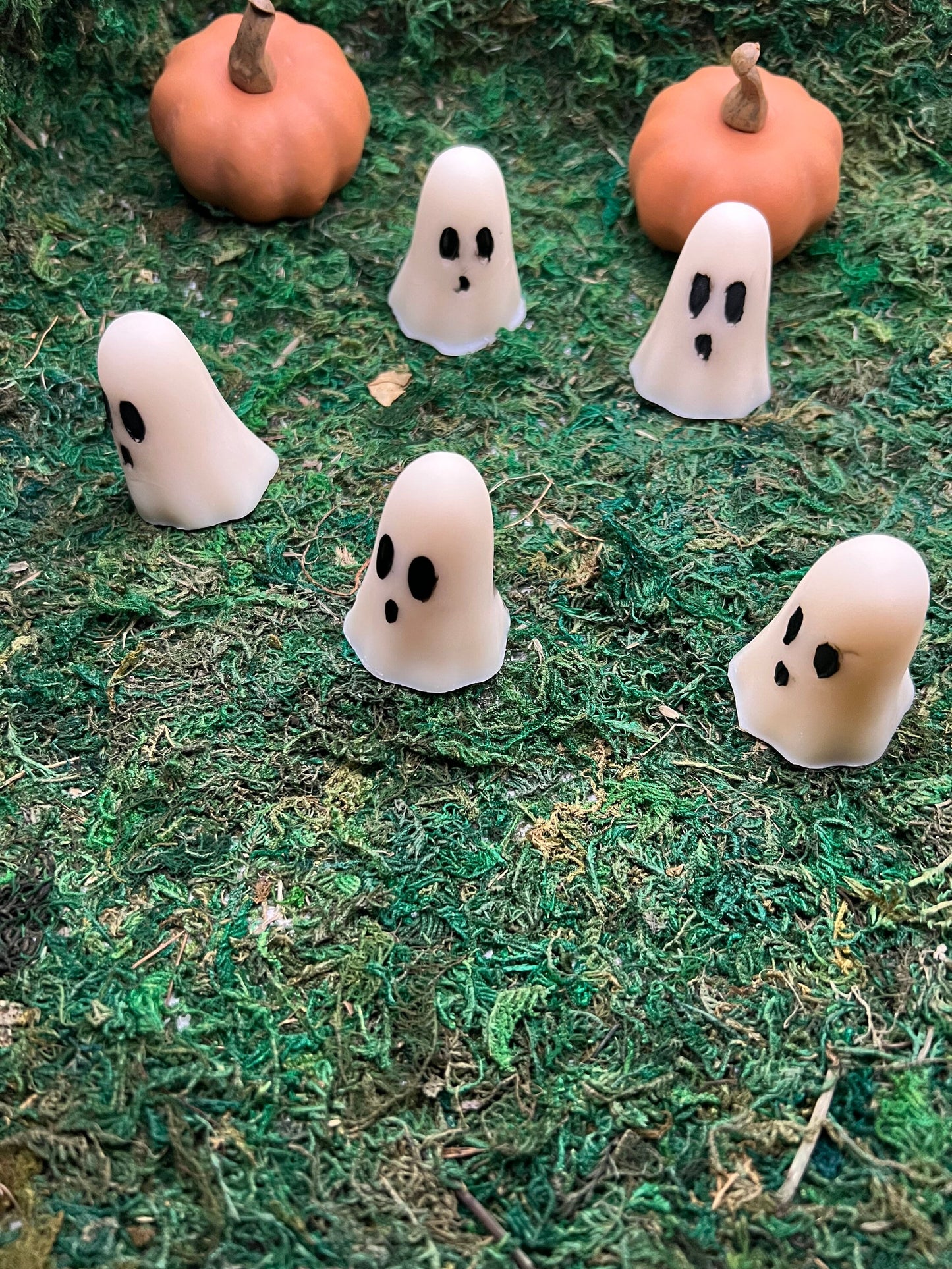 Ghosts Wax melts