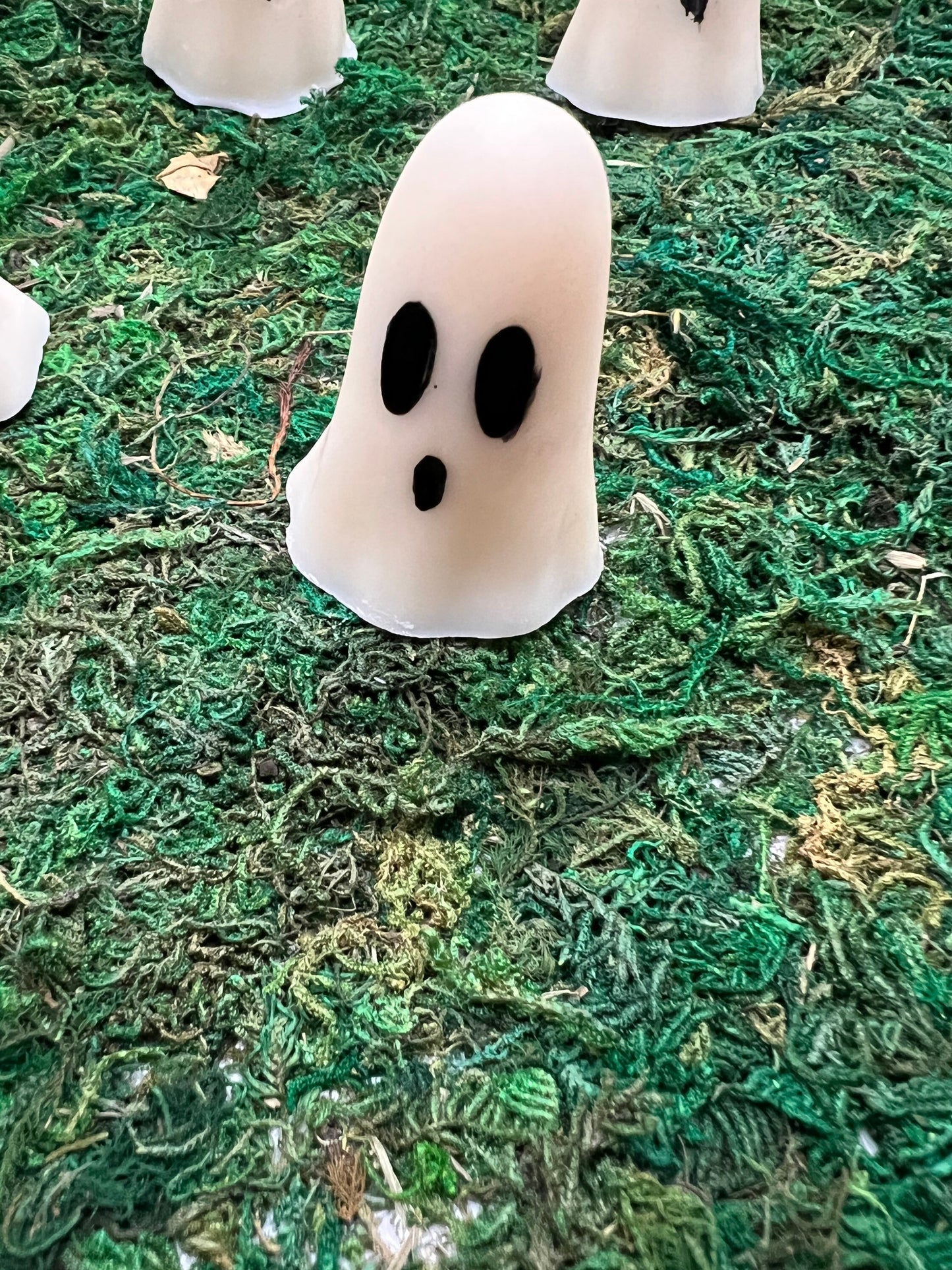 Ghosts Wax melts