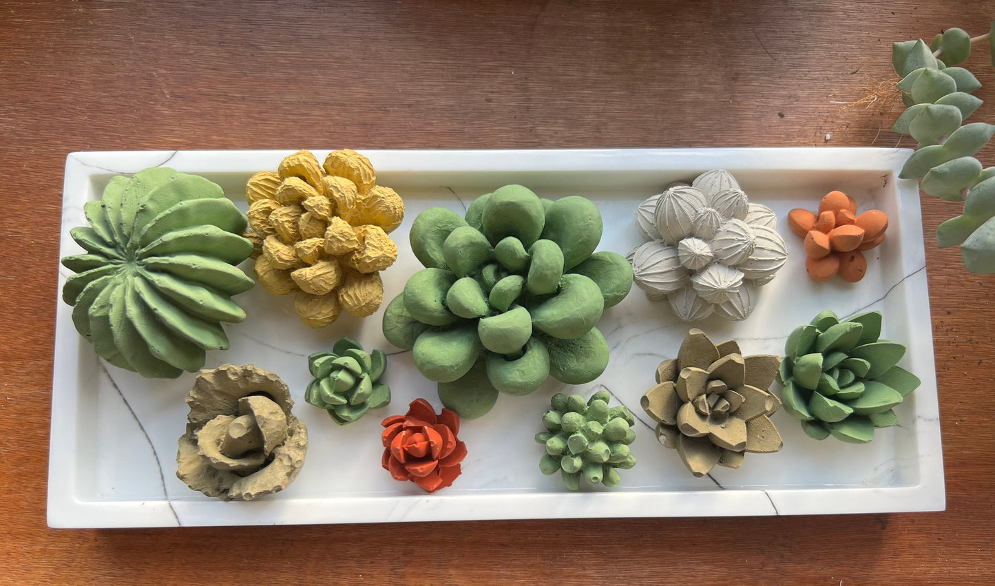 Cement Succulent (15) plants | Flowers | fake plants | Succulent | Fairy planter | Cement Decor | Cactus | Fake Flowers | Garden | Gift