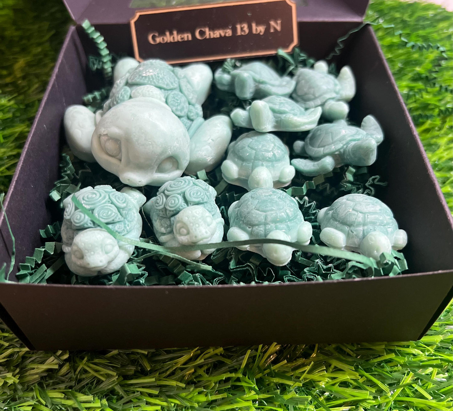 Turtle Wax melts| soy wax melts| Turtles | Sea Turtles  | wax melts | 3oz | QTY 10 | Soy Wax Melt | Beach Theme | Turtles | Flameless |