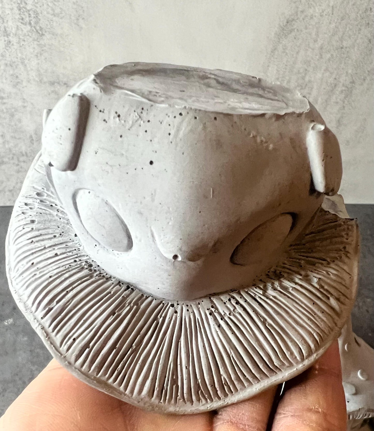 Cement Mushroom Garden Decor