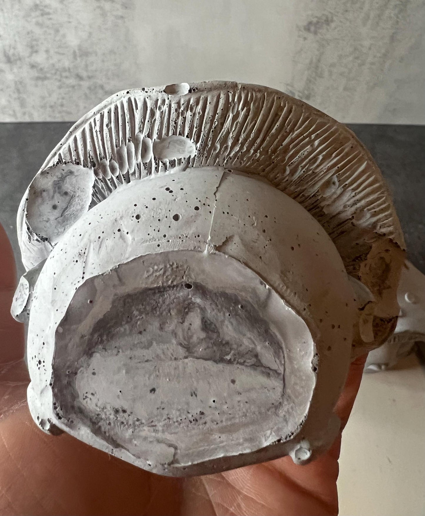 Cement Mushroom Garden Decor