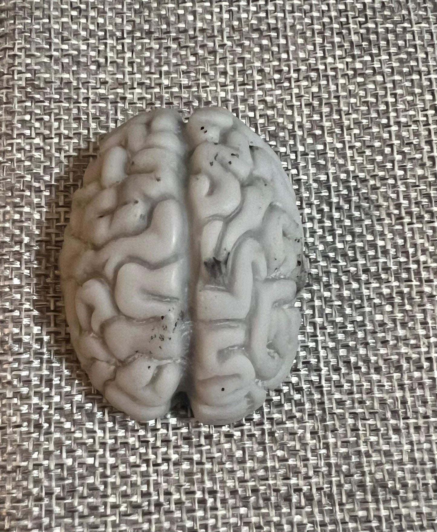 Zombies and Brain Soy wax melts