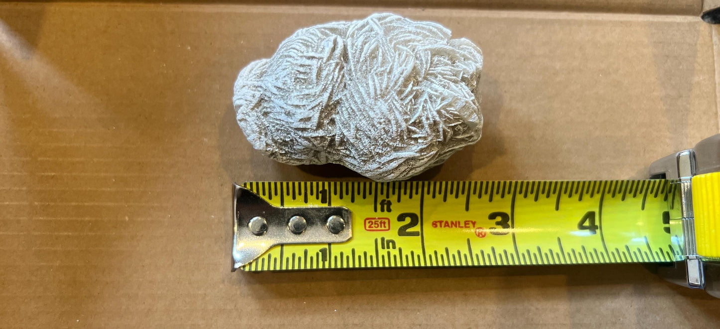 Desert Rose Selenite Crystal (1.5 to 2 inches)