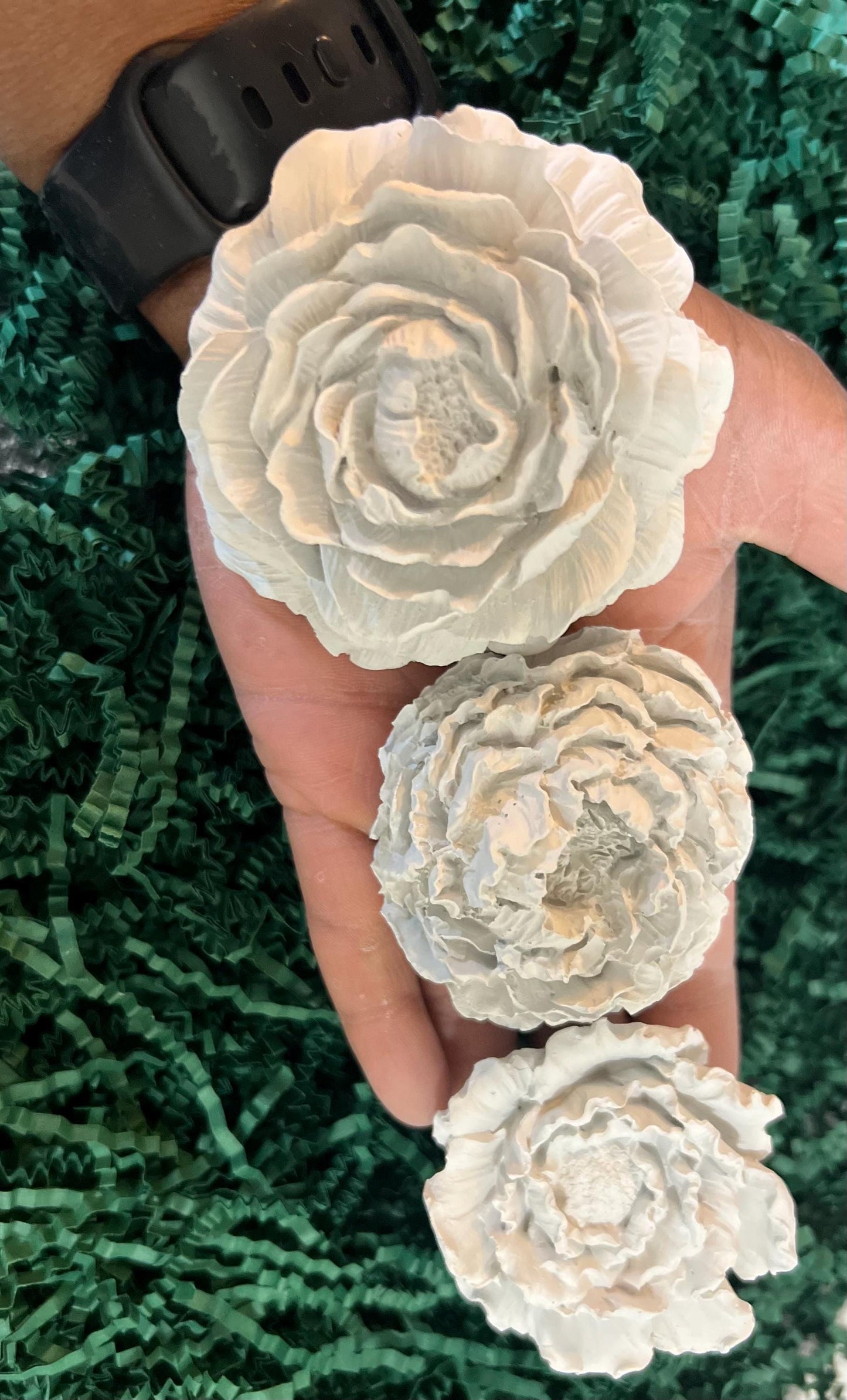 Cement Flowers  (10)