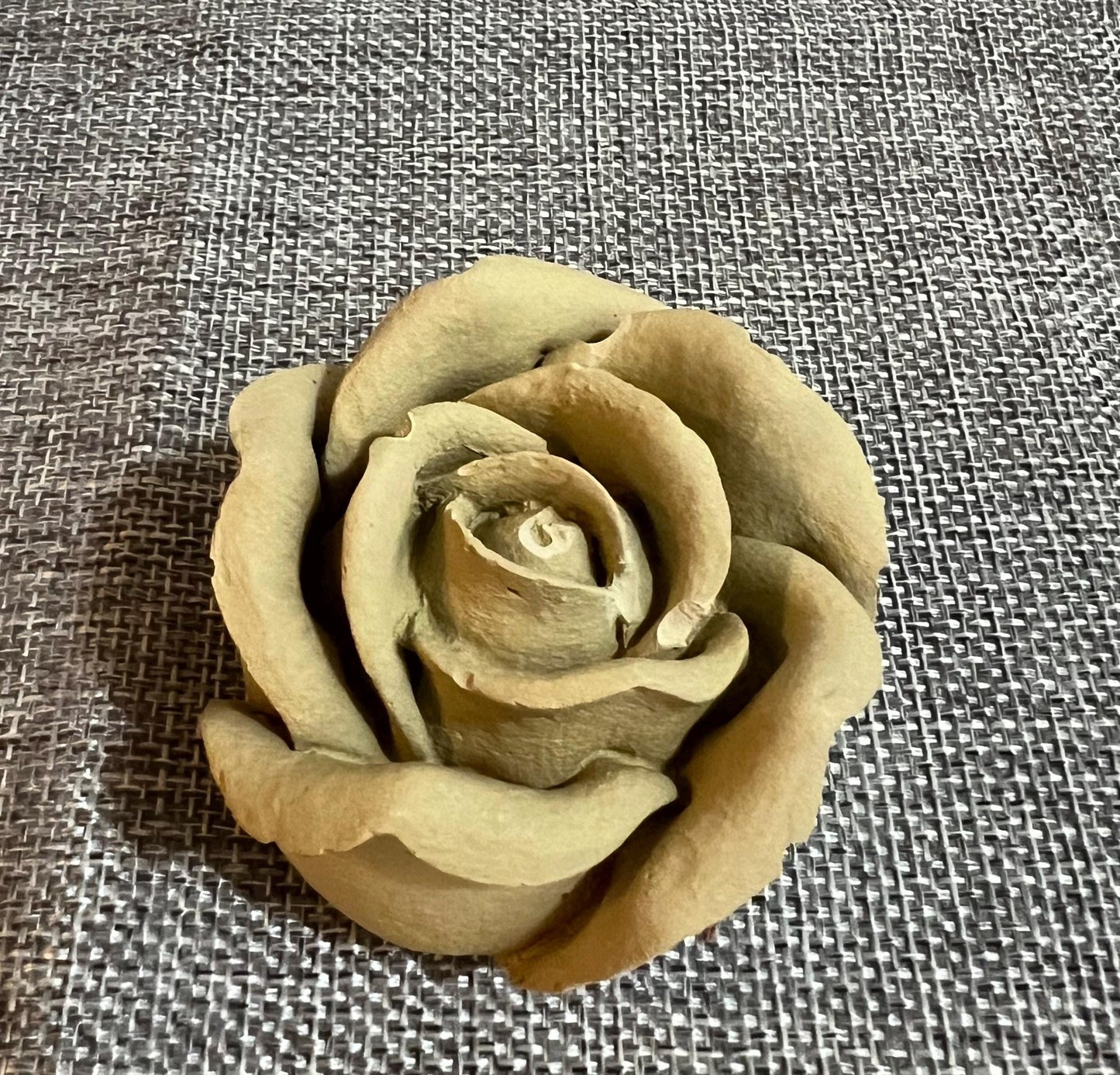 Cement Roses | Fractured Rose