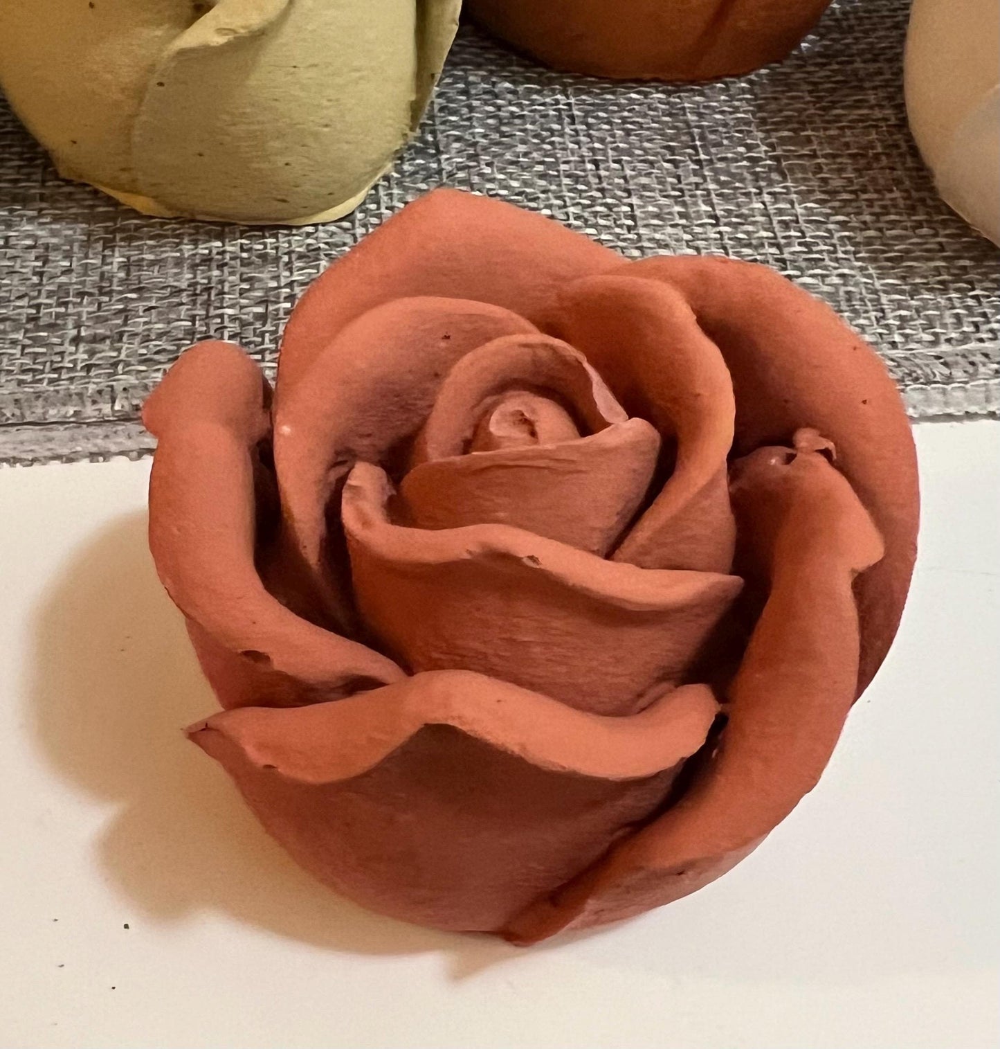 Cement Roses | Fractured Rose