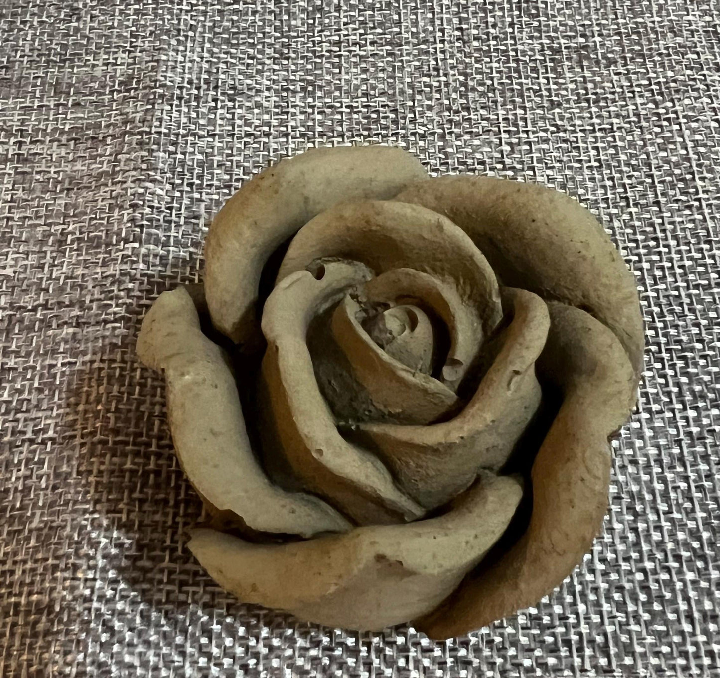 Cement Roses | Fractured Rose