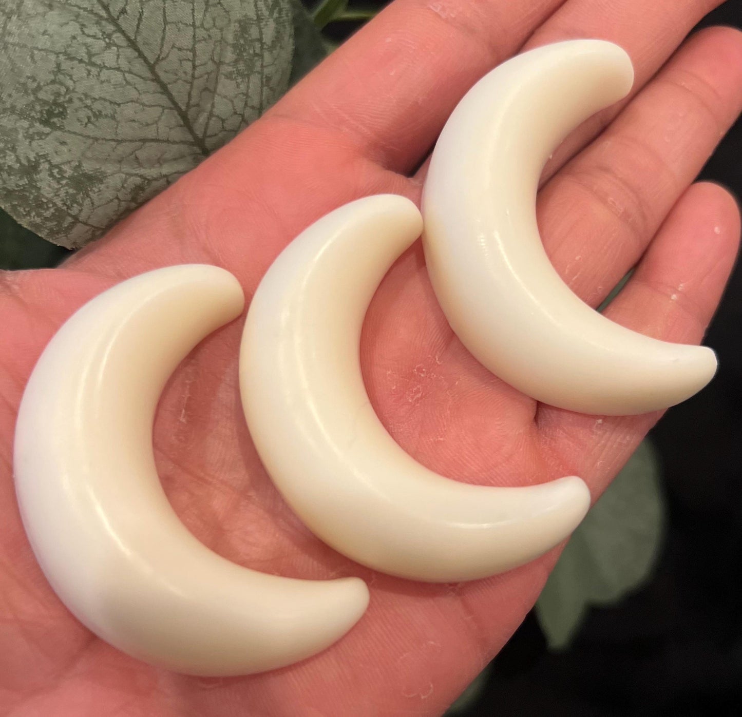 Raven & Moon Wax melts
