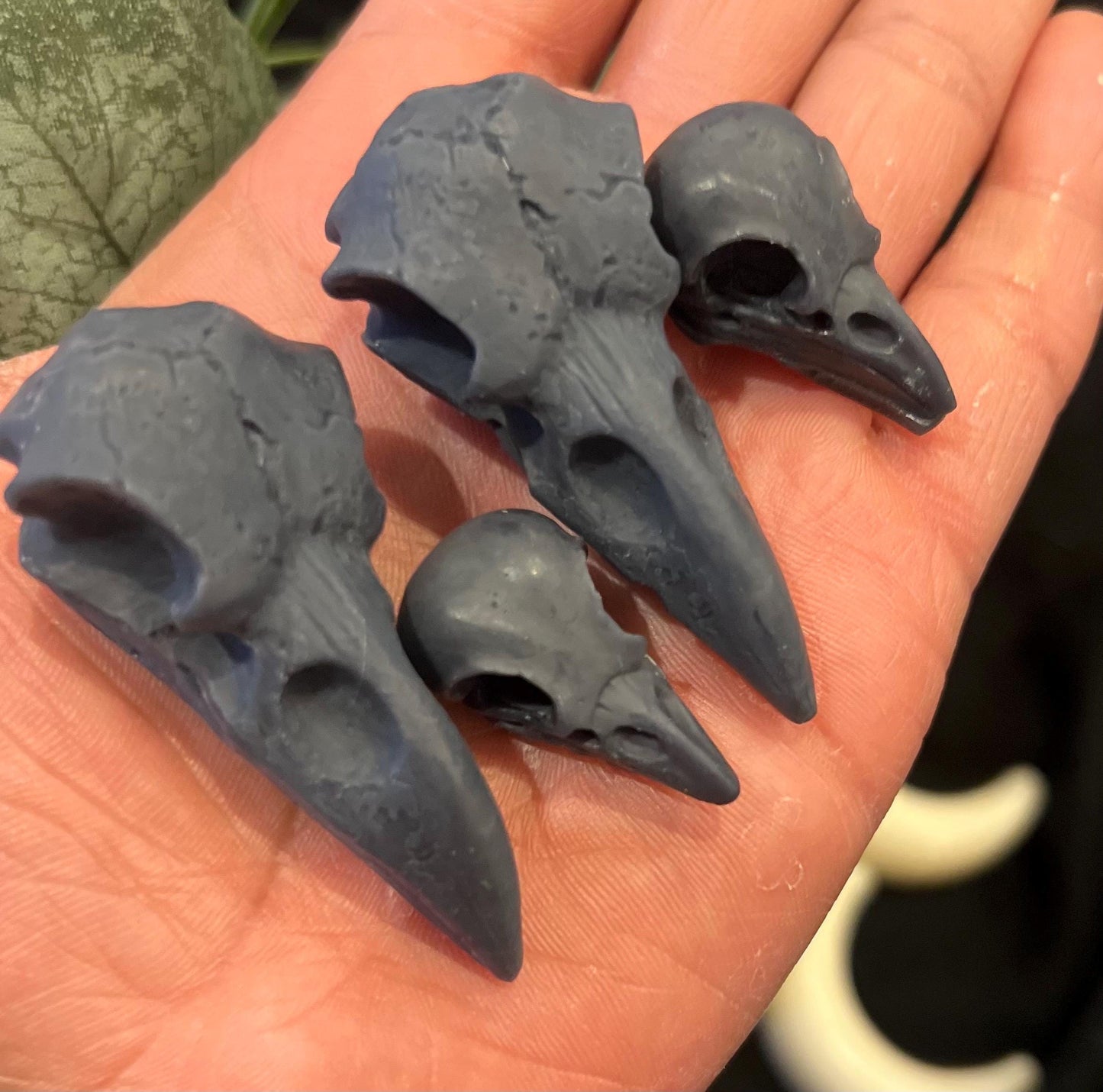 Raven & Moon Wax melts