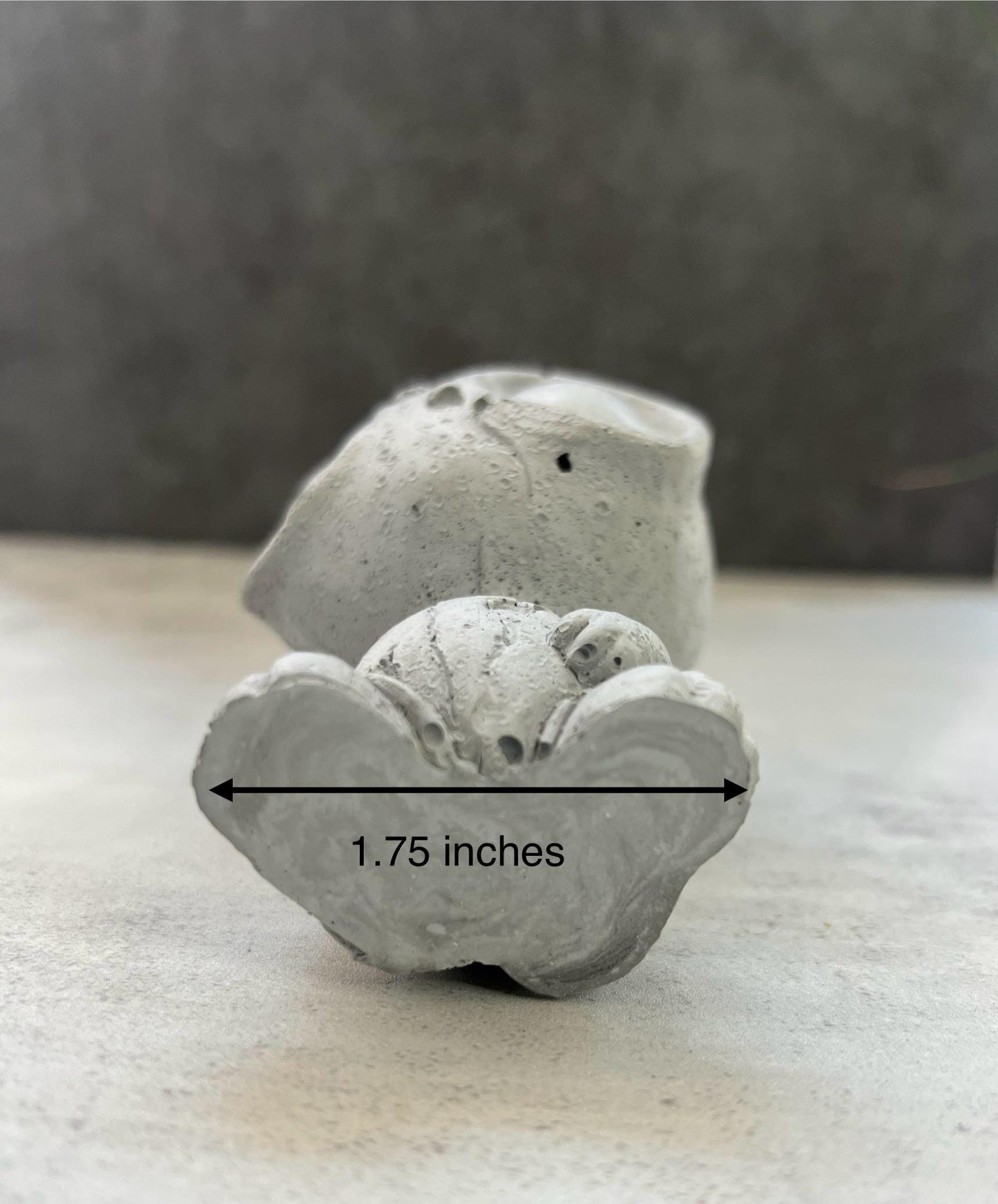Cement Garden Alien