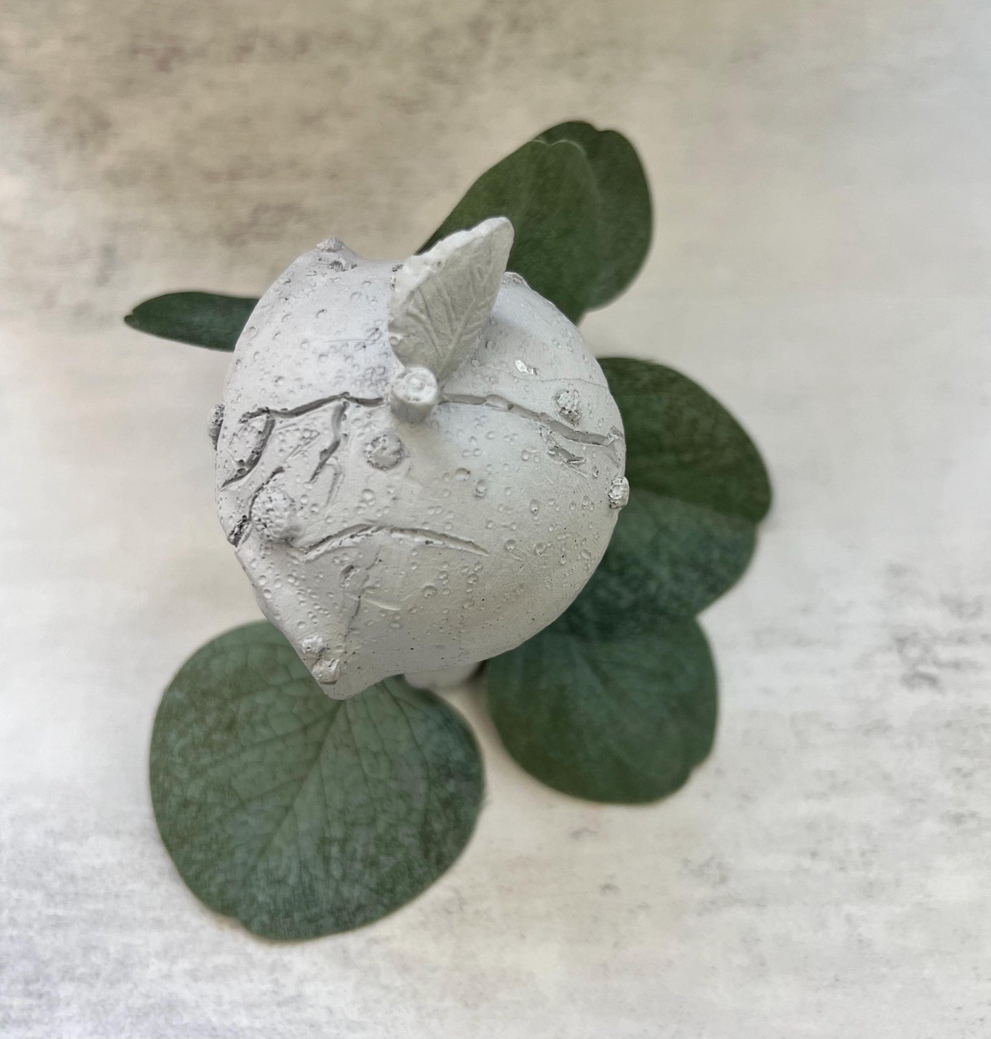 Cement Garden Alien